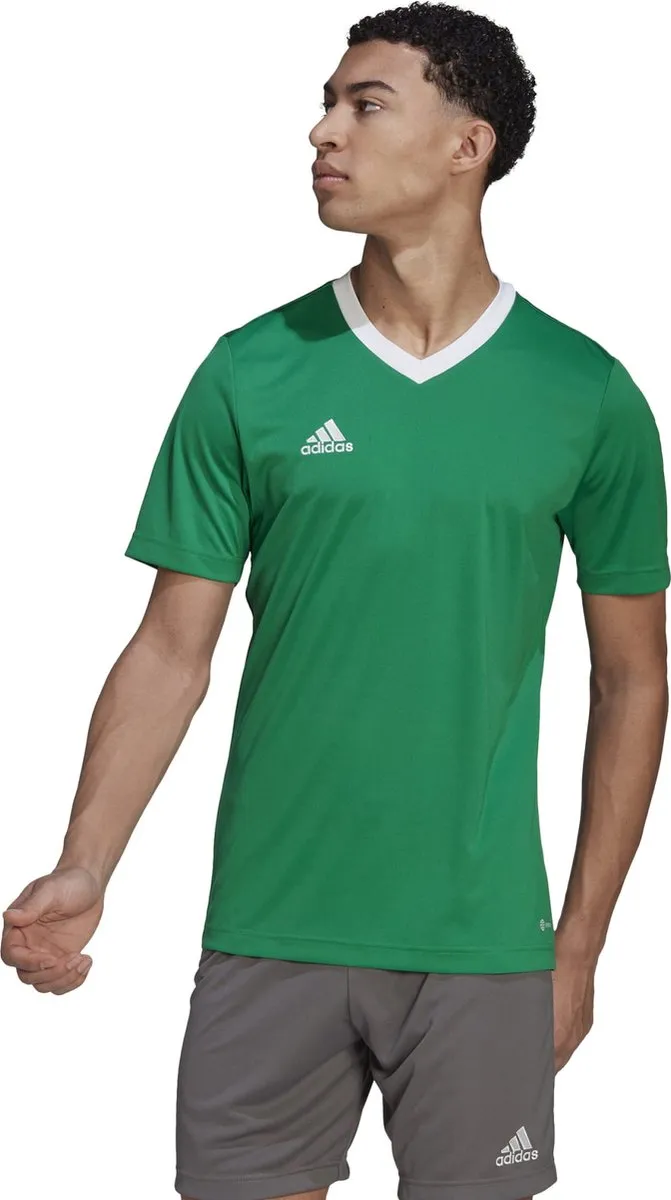 adidas Performance Entrada 22 Voetbalshirt HI2123 - M - Groen