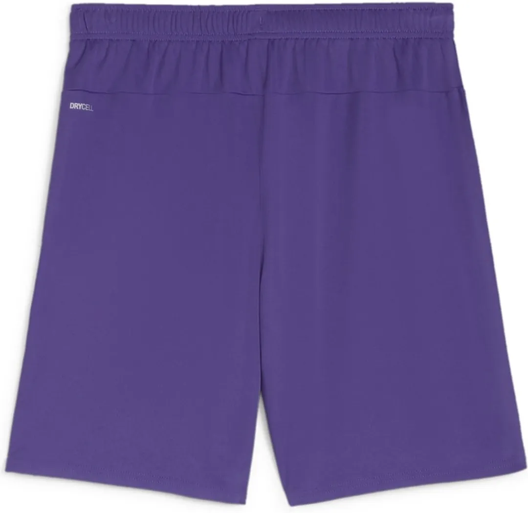 PUMA Teamgoal Short Kinderen 116 - Paars