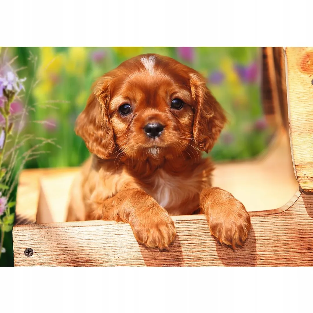 Trefl Little Puppy Puzzel 1000 Stuks - met Lijm