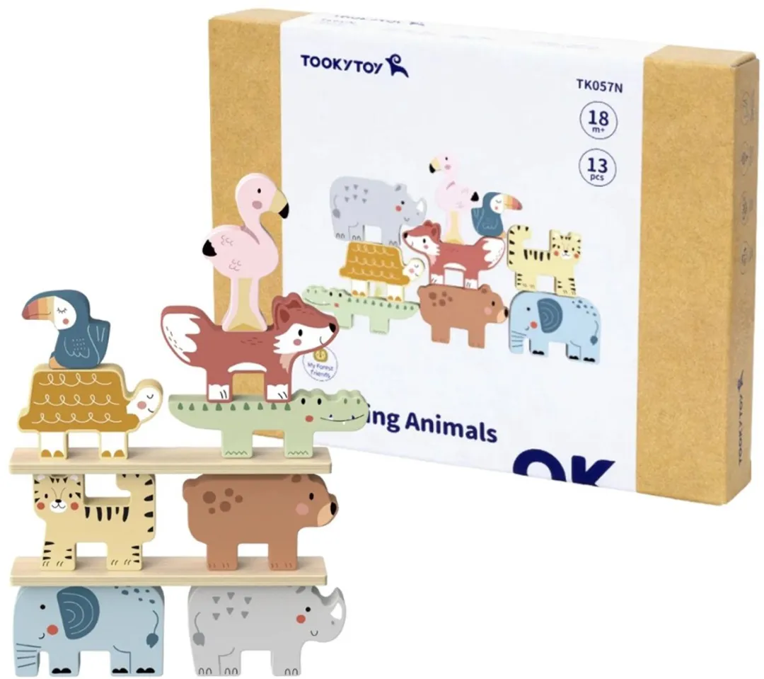 Tooky Toy Balans- en Stapelspel 13-delig - Meerkleurig