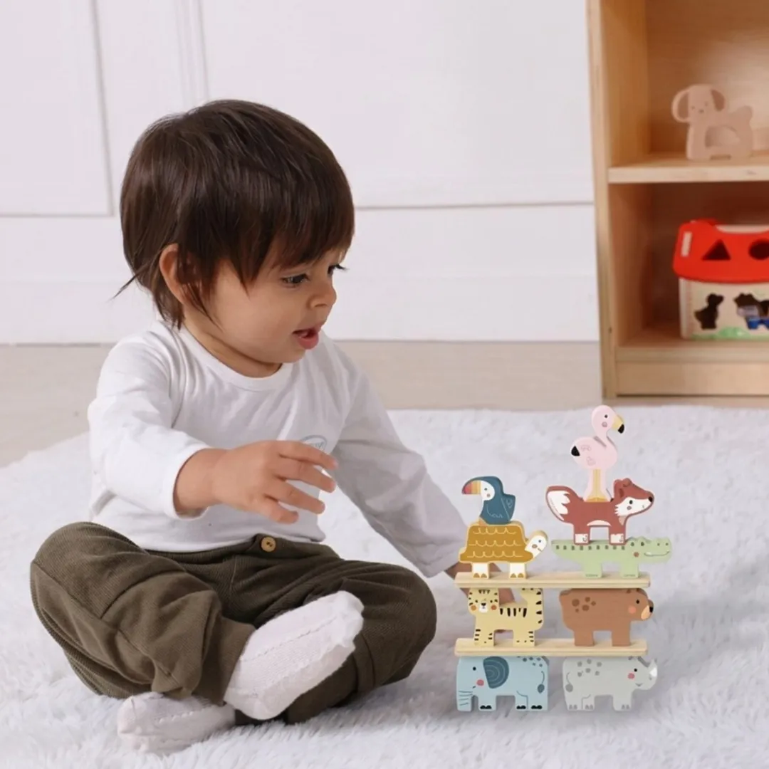 Tooky Toy Balans- en Stapelspel 13-delig - Meerkleurig