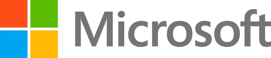 Microsoft CIG-00002 Voet voor Laptop