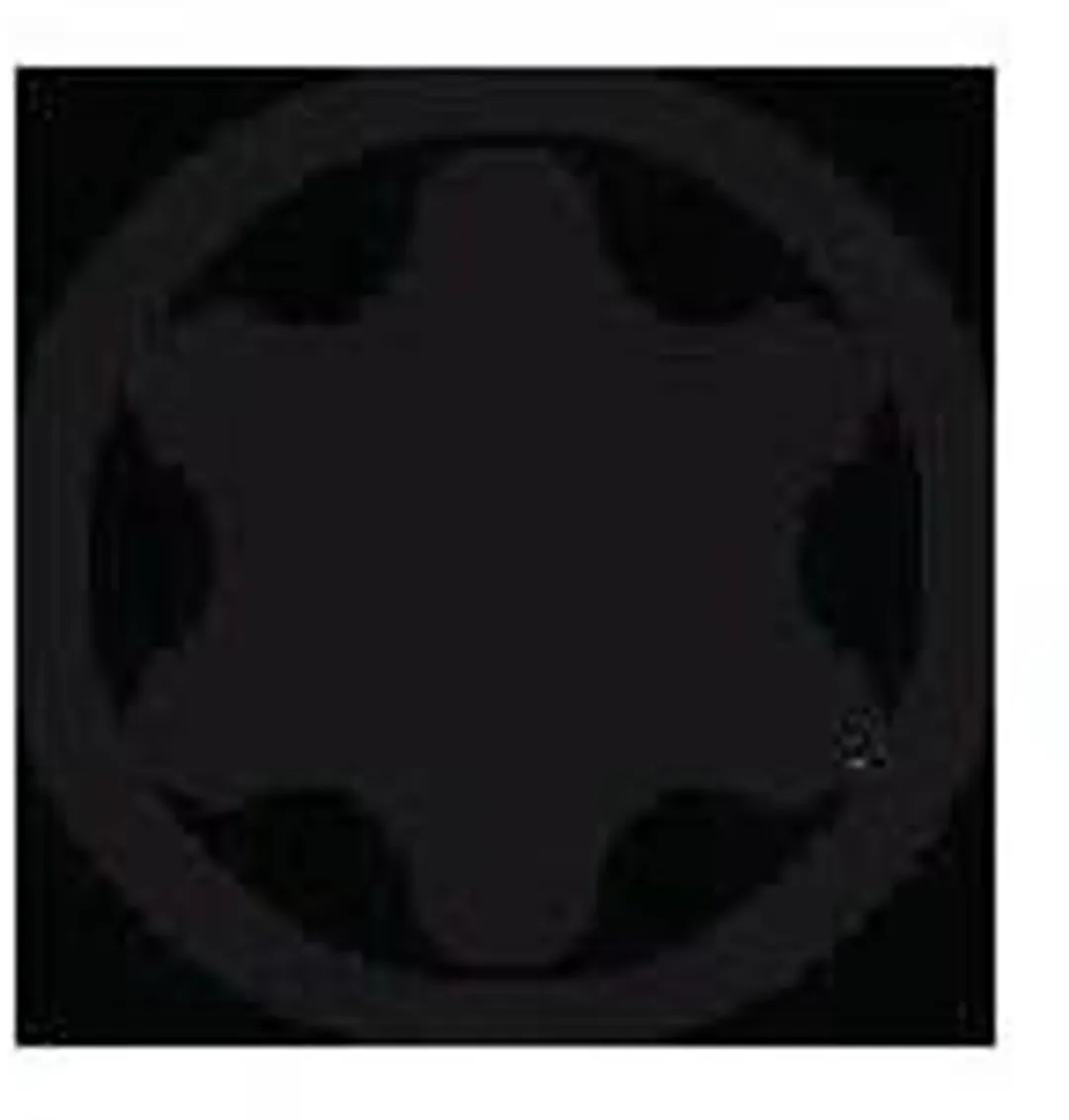 Wiha WH-01333 Torx 20 - Kleurloos