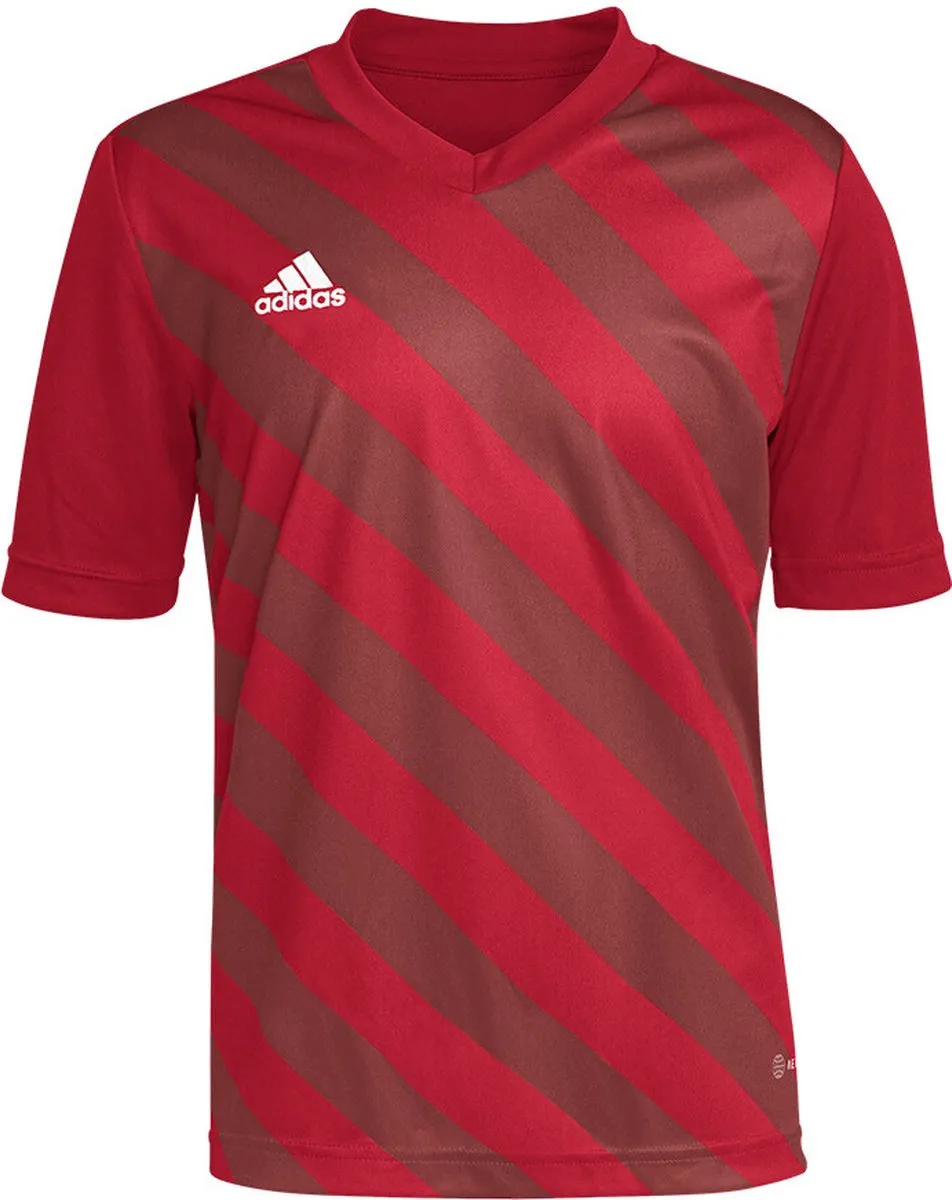 adidas Entrada 22 GFX Jersey Youth Voetbalshirt