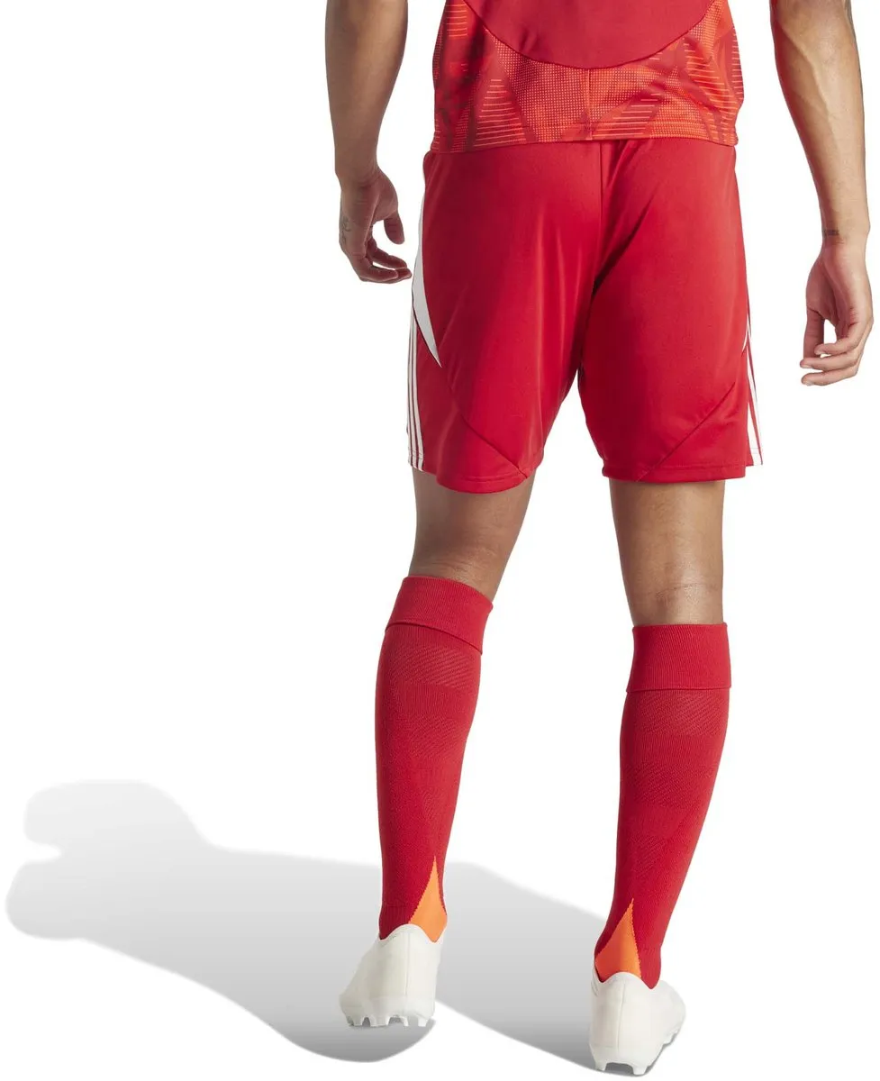 adidas Performance Tiro 24 Short IR9379 - Rood - S