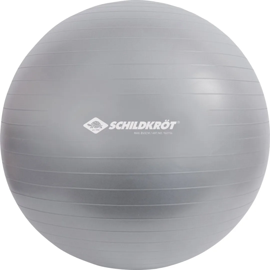 Schildkröt Fitnessbal 65cm - Multicolor