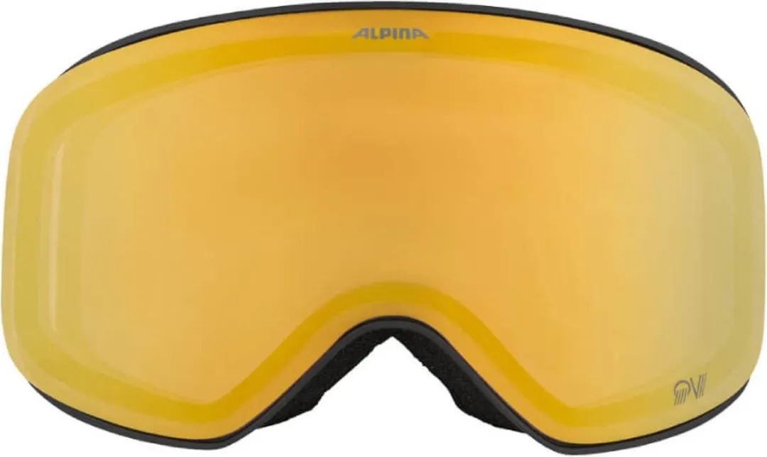 Alpina Slope QV Photochromic Skibril - Zwart