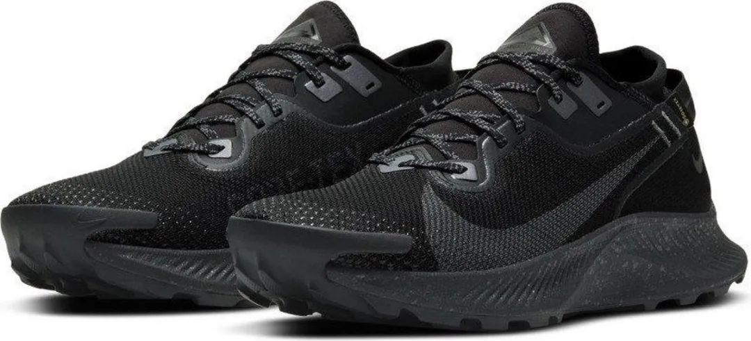 Nike Pegasus Trail 2 GTX