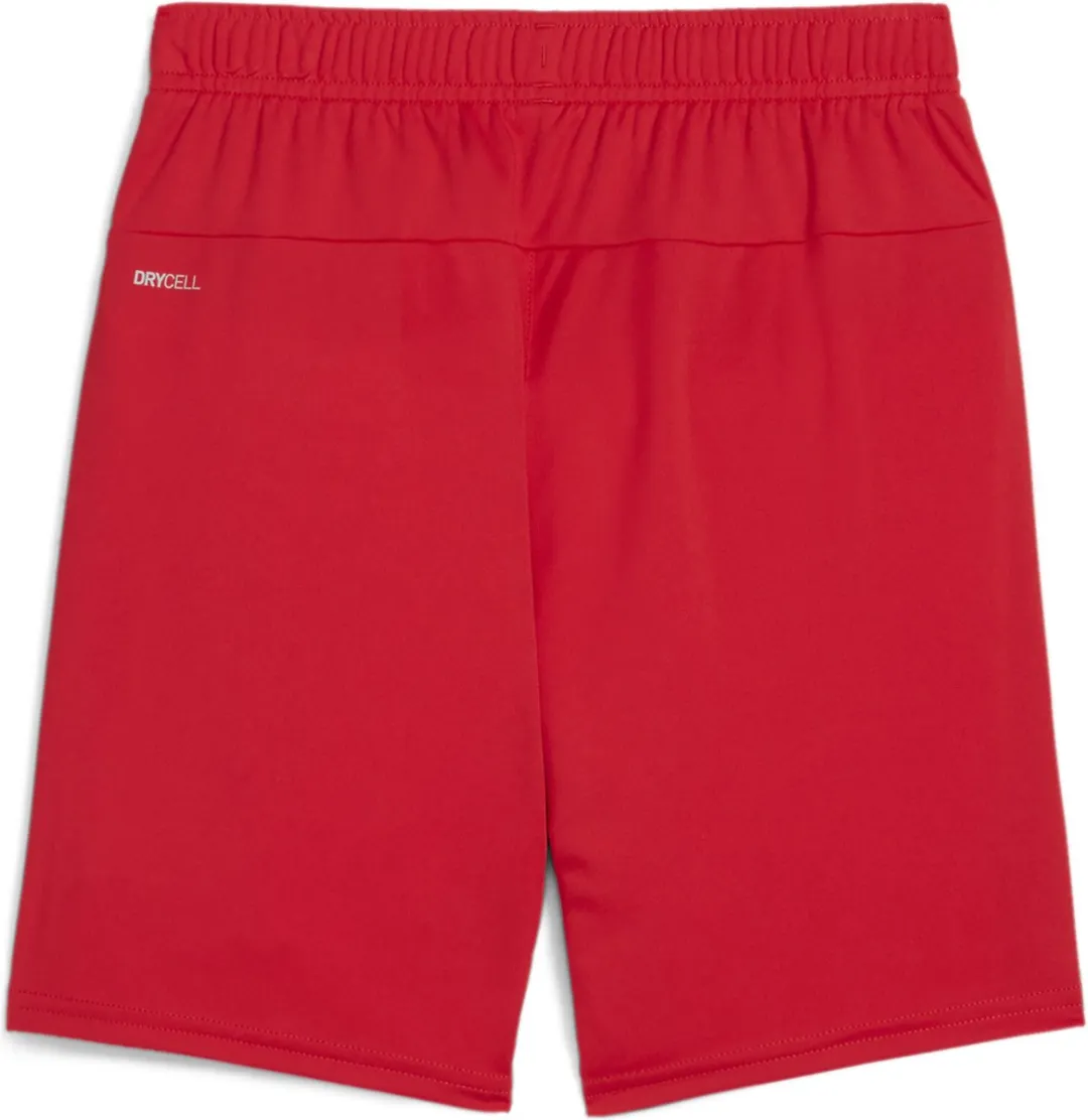 PUMA TeamGOAL Shorts Jr Trainingsbroek 164 - Puma Red-Puma White