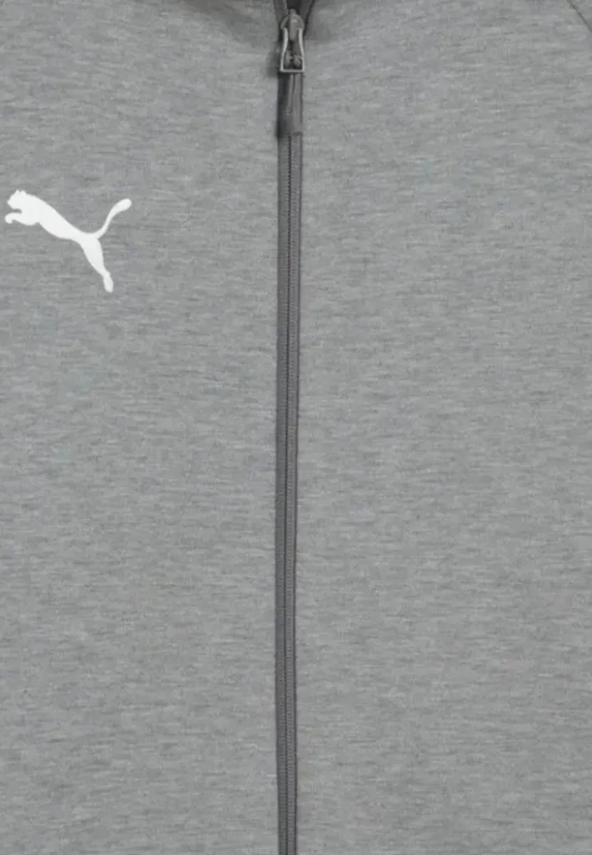 PUMA TeamEVOSTRIPE Sweat Jacke - M - Grijs/Wit