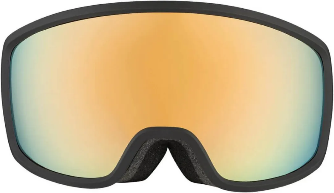 Alpina Bivio QV Photochromic Skibril - Zwart
