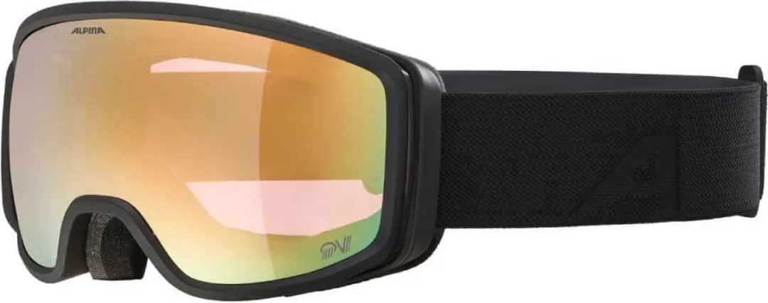 Alpina Bivio QV Photochromic Skibril