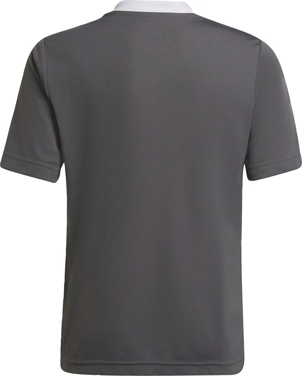 adidas Performance Entrada 22 Voetbalshirt 116 - Grijs - afbeelding 6 van 6