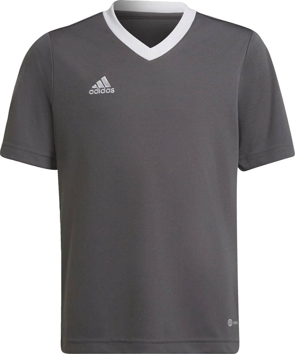 adidas Performance Entrada 22 Voetbalshirt 116 - Grijs