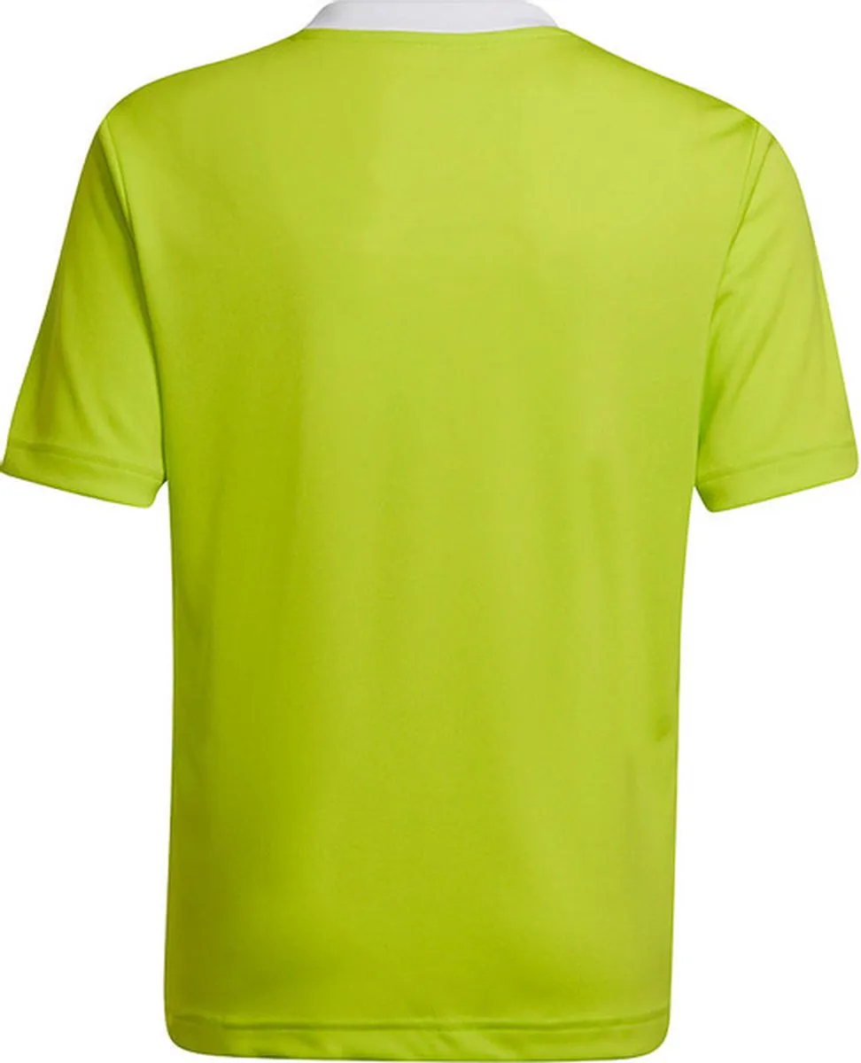 adidas Entrada 22 Jersey Youth Voetbalshirt 116 - Groen