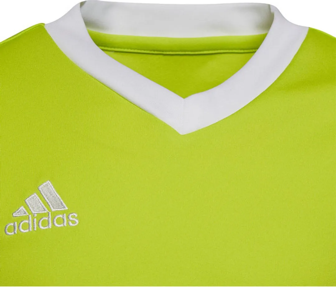 adidas Entrada 22 Jersey Youth Voetbalshirt 116 - Groen