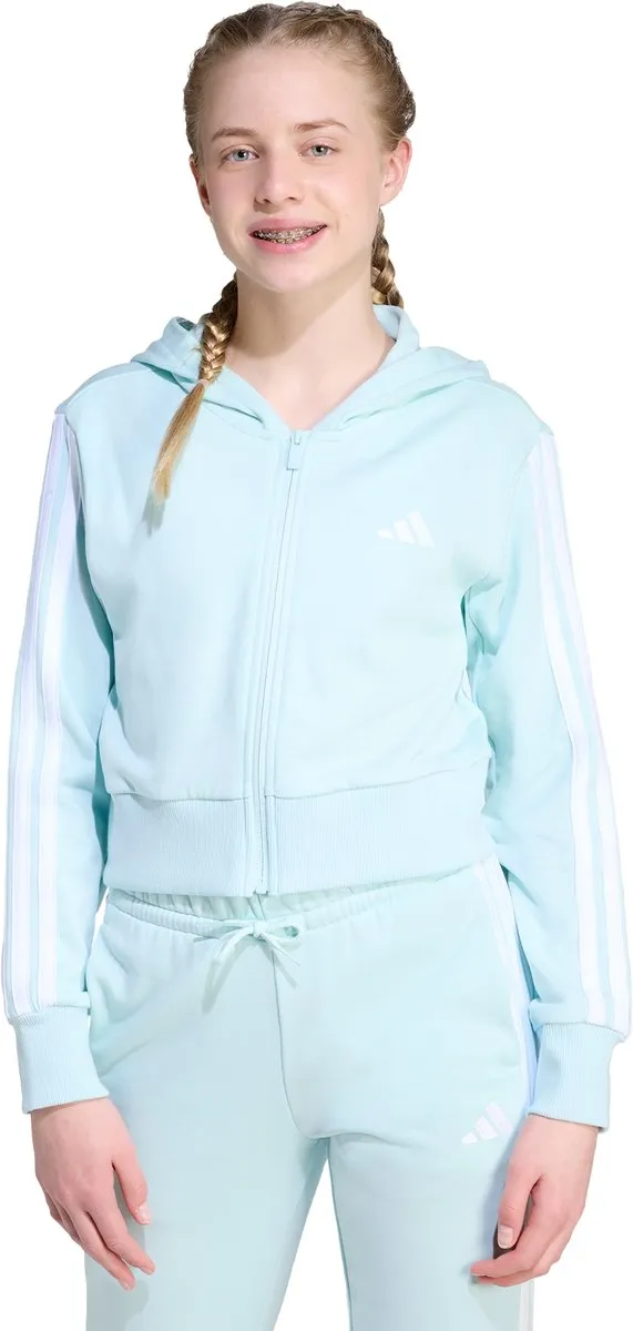 adidas Essentials Ritshoodie Kids JY4984