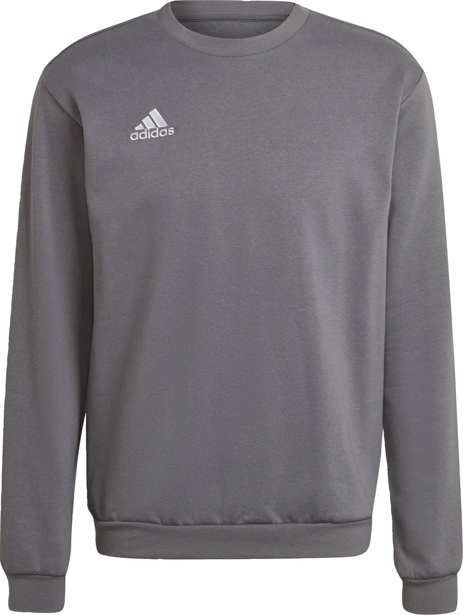 adidas Performance Entrada 22 Sweatshirt - Grijs - L