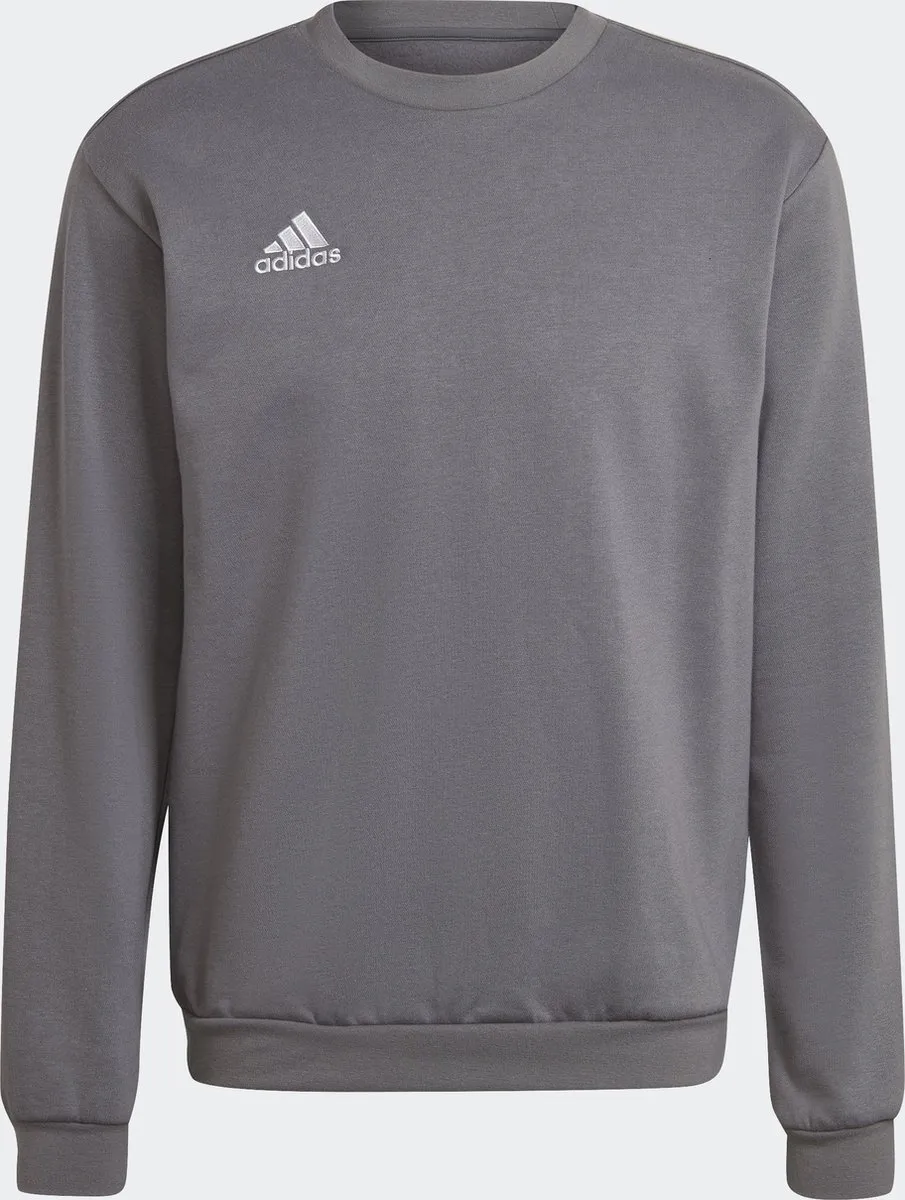 adidas Performance Entrada 22 Sweatshirt - Grijs - L