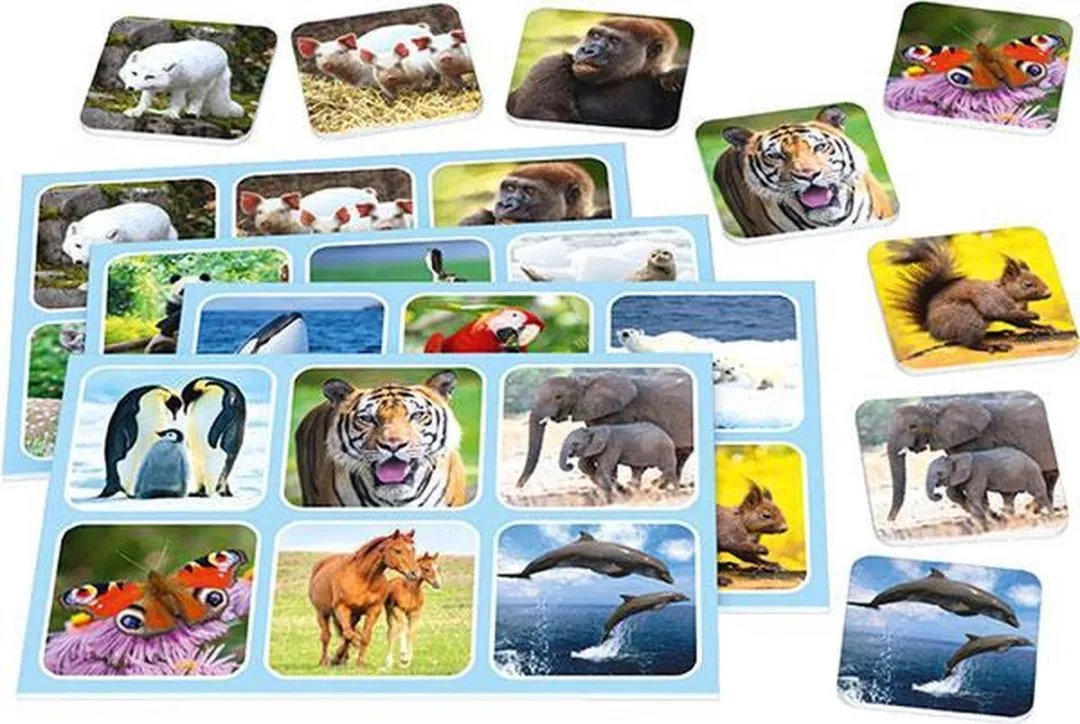 Schmidt Spiele Zoo Lotto 51433 - Educatief geheugenspel - 1-4 spelers