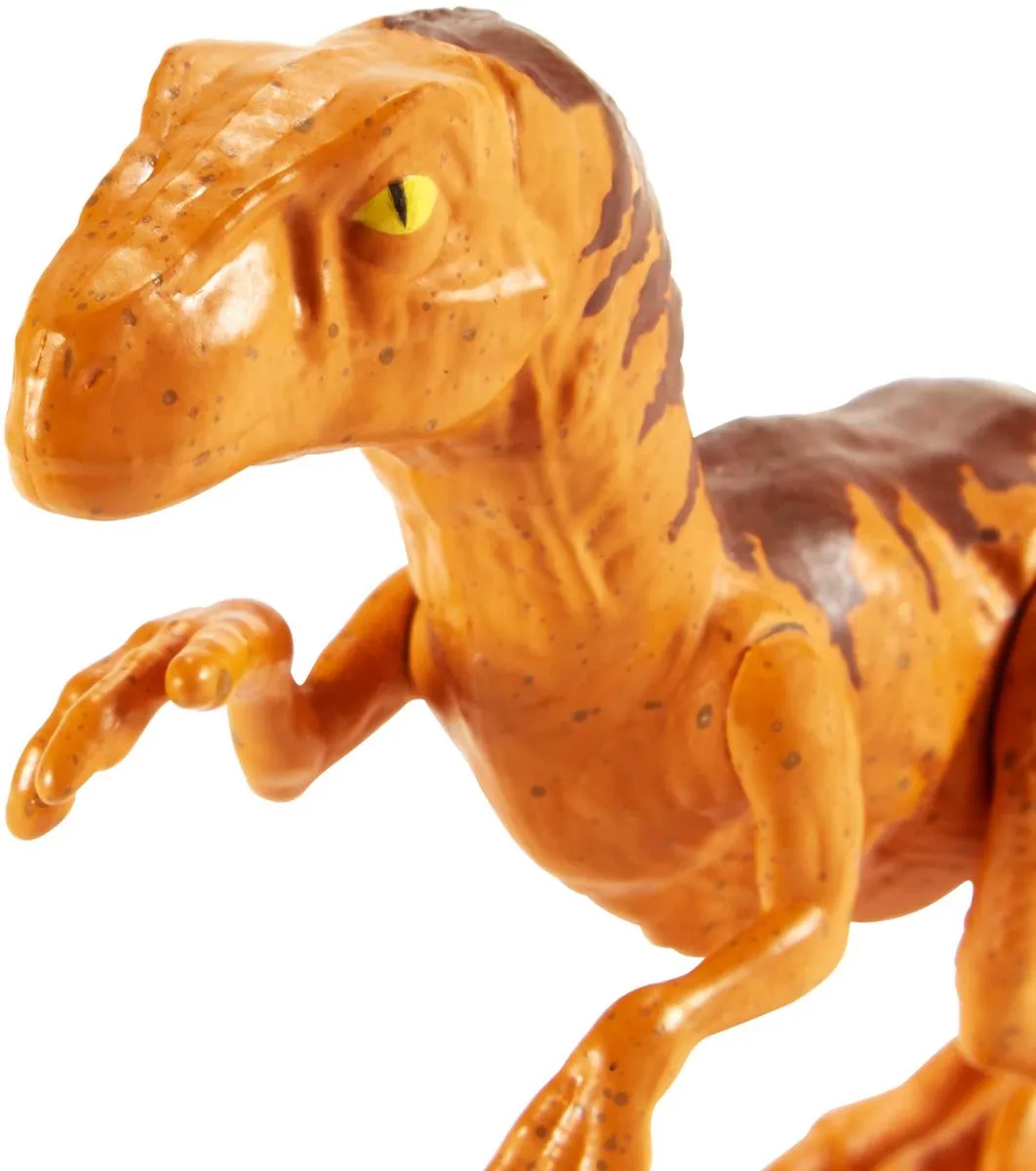 Jurassic World Velociraptor JGG17 Speelgoed - Meerkleurig - afbeelding 6 van 6