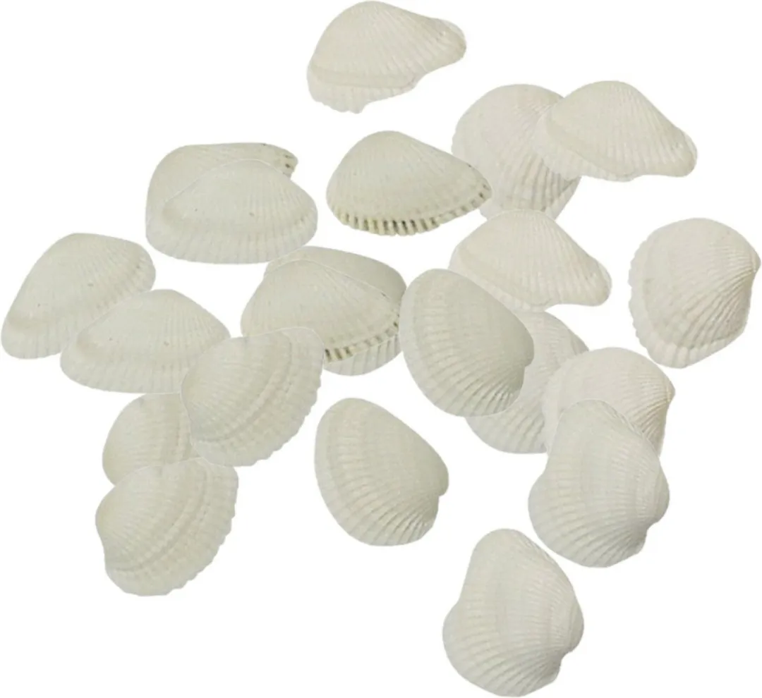 Rayher Hobby Schelpen 2x 250g