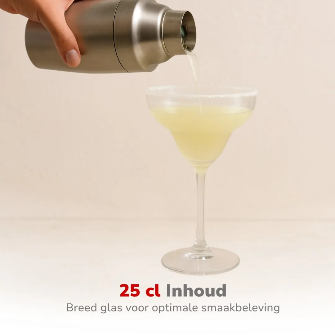 Alpina Margarita Cocktailglazen 250ml - 4 Stuks