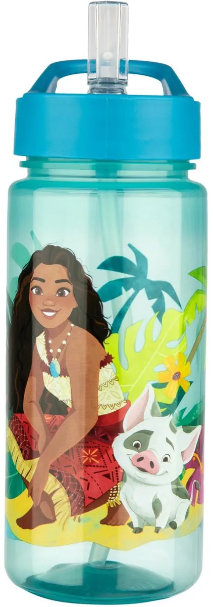 Disney Vaiana Bidon 500ml