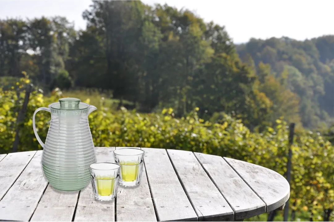 Alpina Waterkan met Fruit/IJsblokjesinfuser 2L - Groen