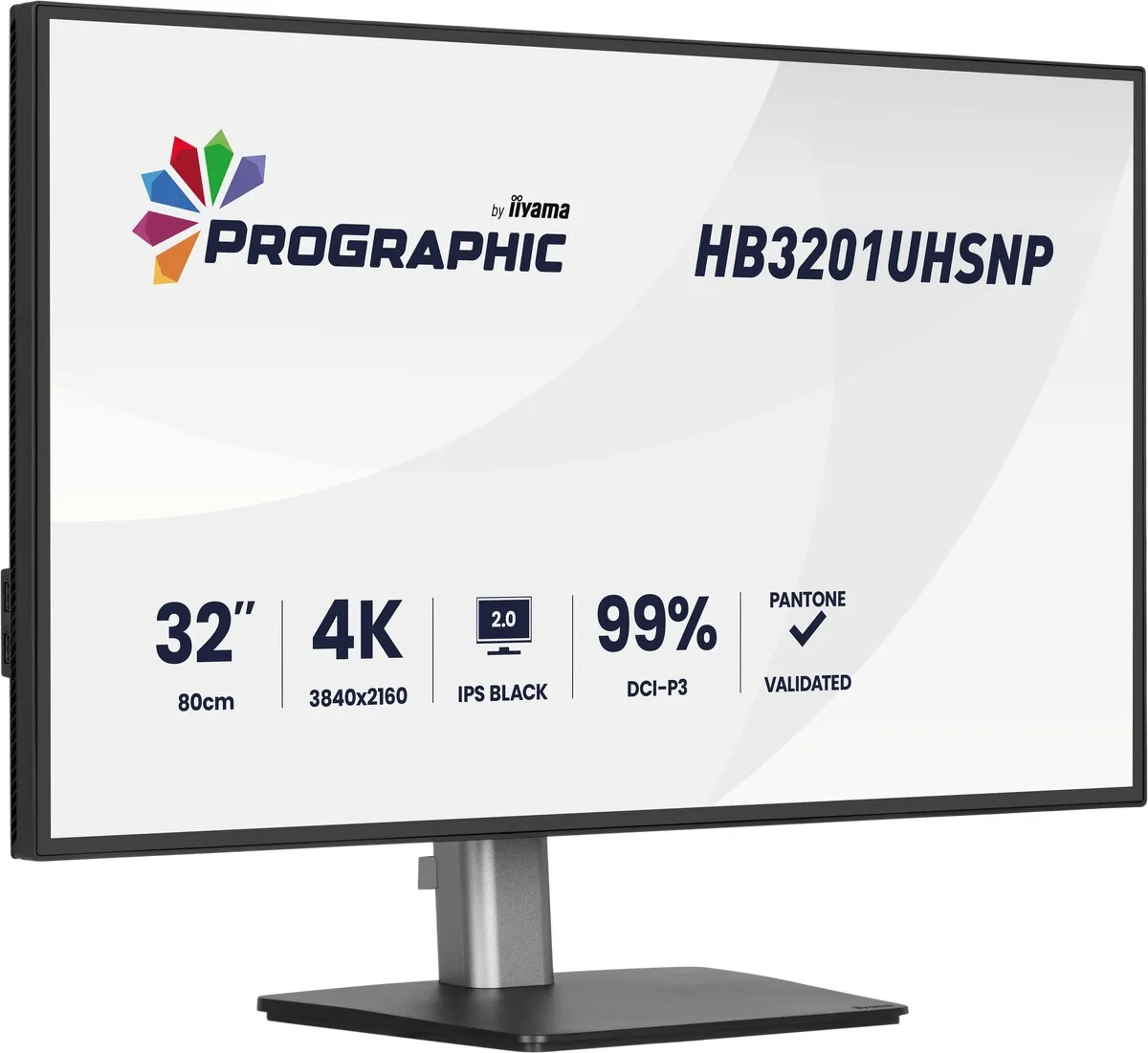 iiyama ProGraphic HB3201UHSNP-B1 32 inch Monitor - 4K IPS Black 2.0 - USB-C Dock