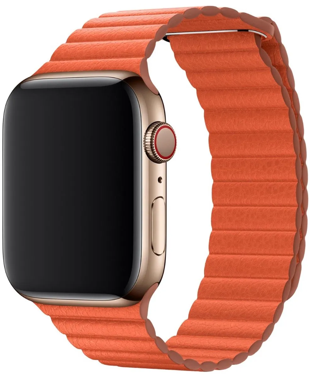 Apple Leather Loop Smartwatchband