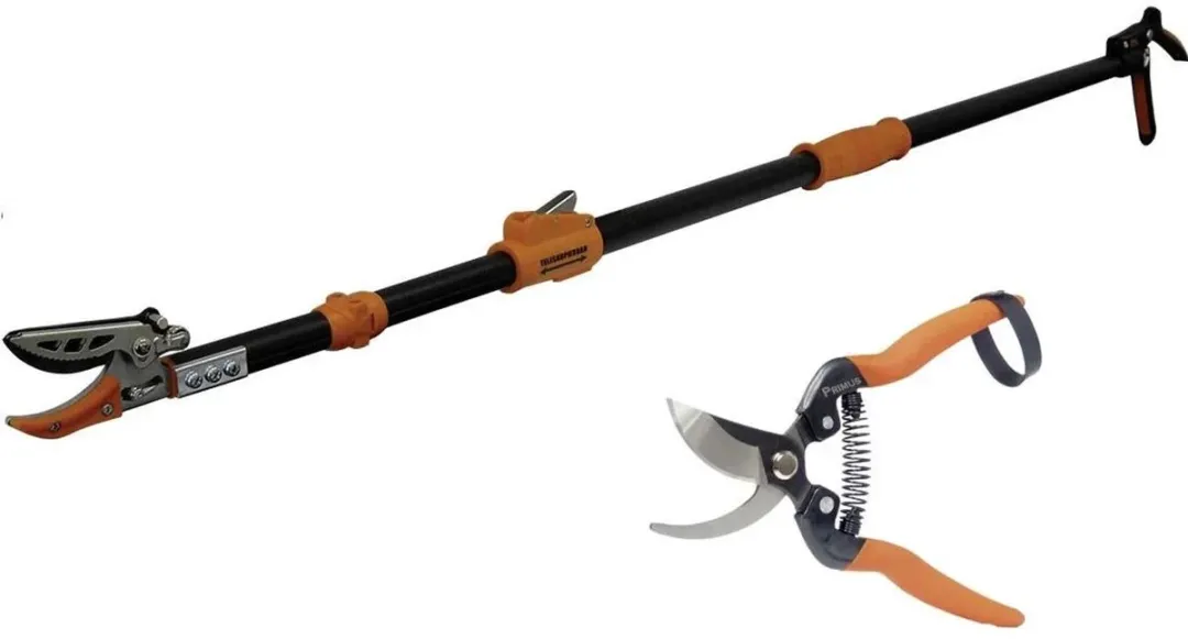 Westfalia Rosenscheren Set