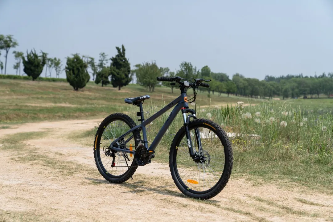 RCB GK2 Fiets 21 Versnellingen 26" - Roetzwart