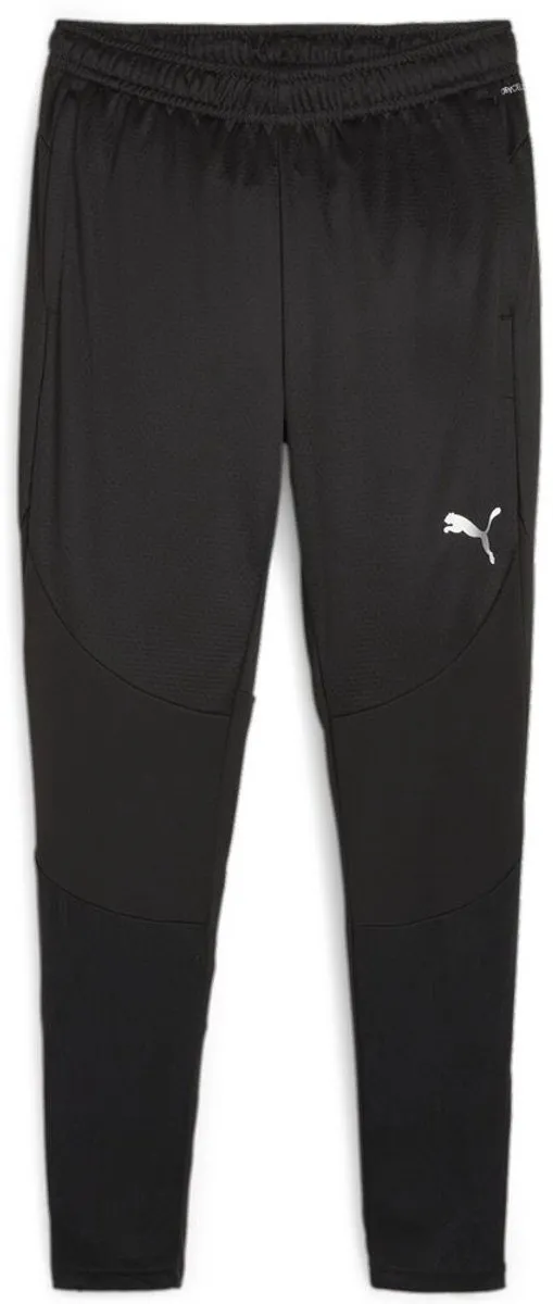 PUMA TeamFinal Training Pants L