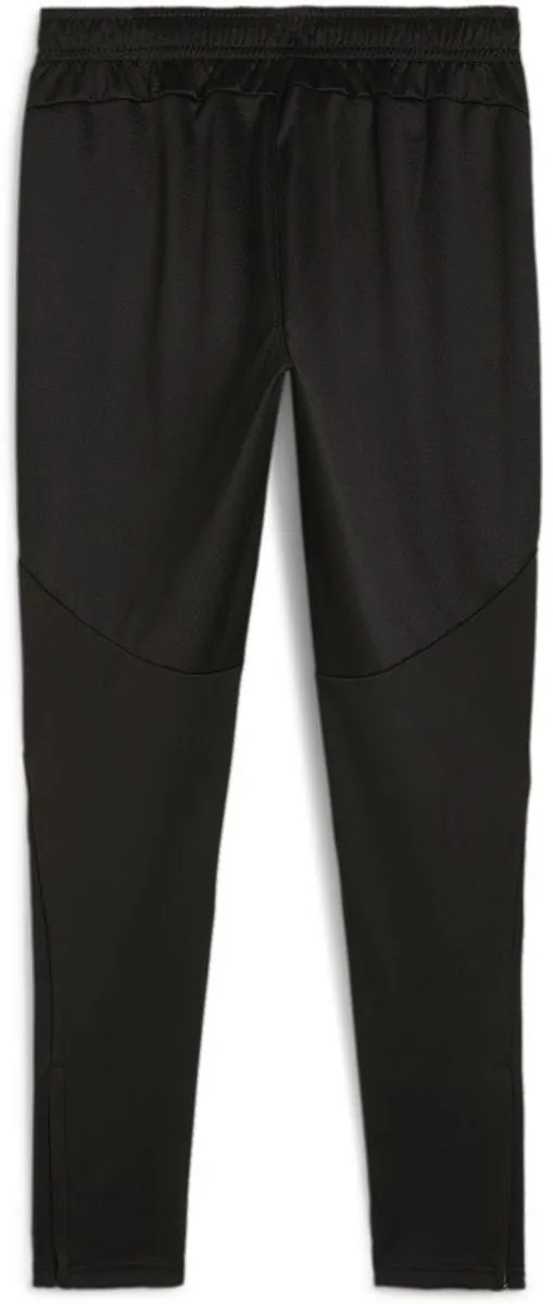 PUMA TeamFinal Training Pants L - Zwart/Zilver