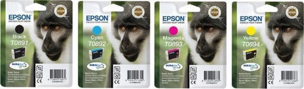 Epson T0891 Inktcartridge Zwart - 170 pagina's
