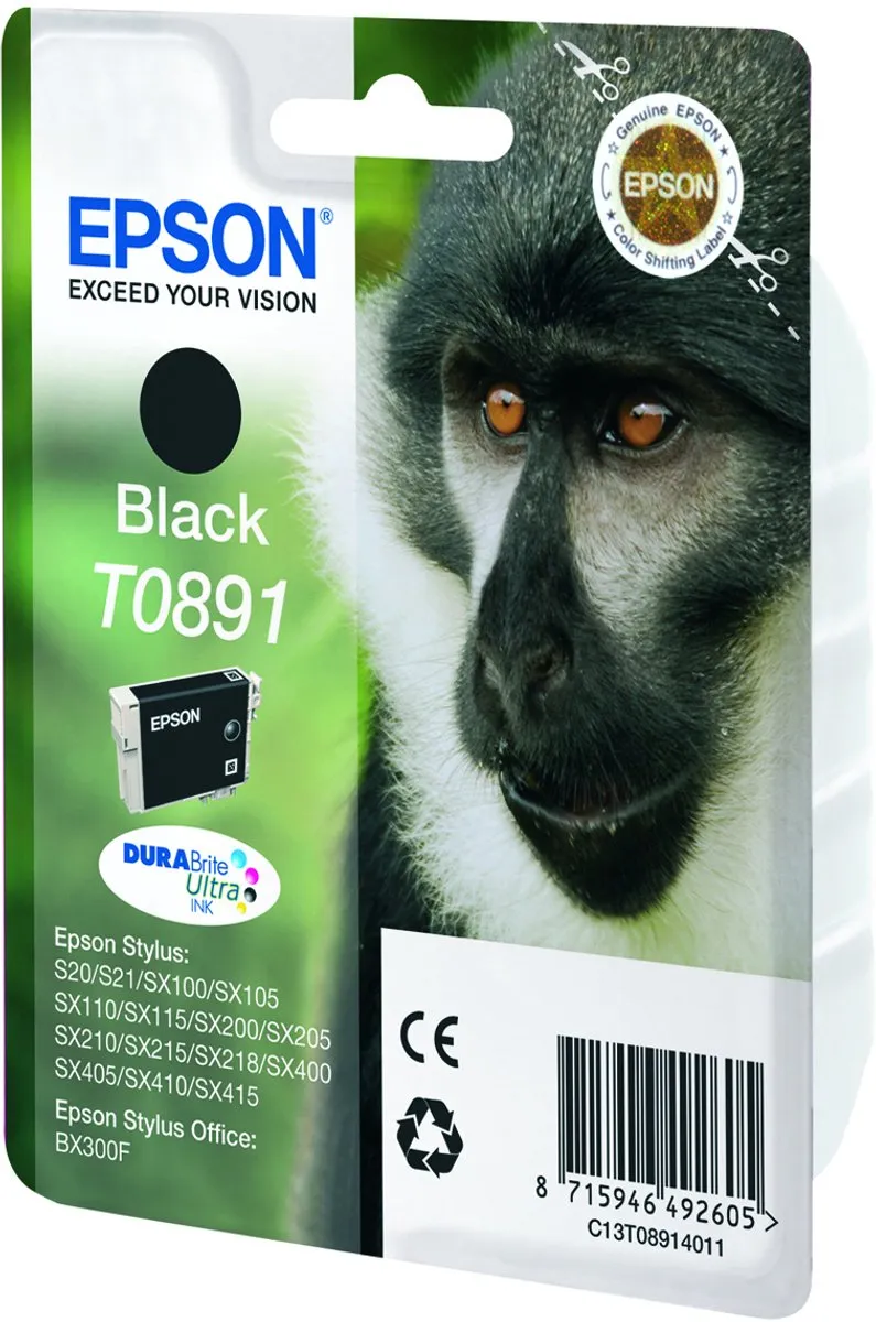 Epson T0891 Inktcartridge Zwart - 170 pagina's