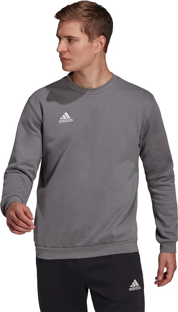 adidas Performance Entrada 22 Sweatshirt