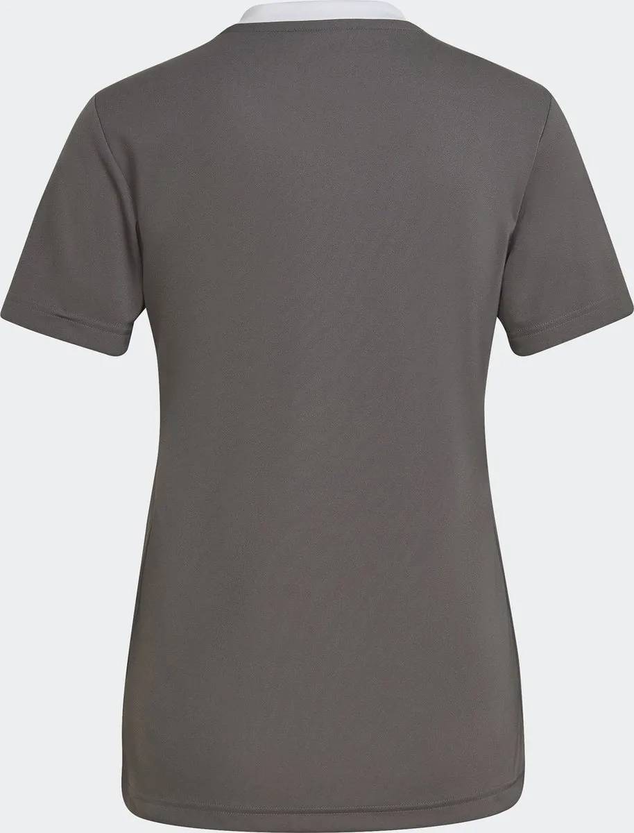 adidas Performance Entrada 22 Voetbalshirt - Grijs L