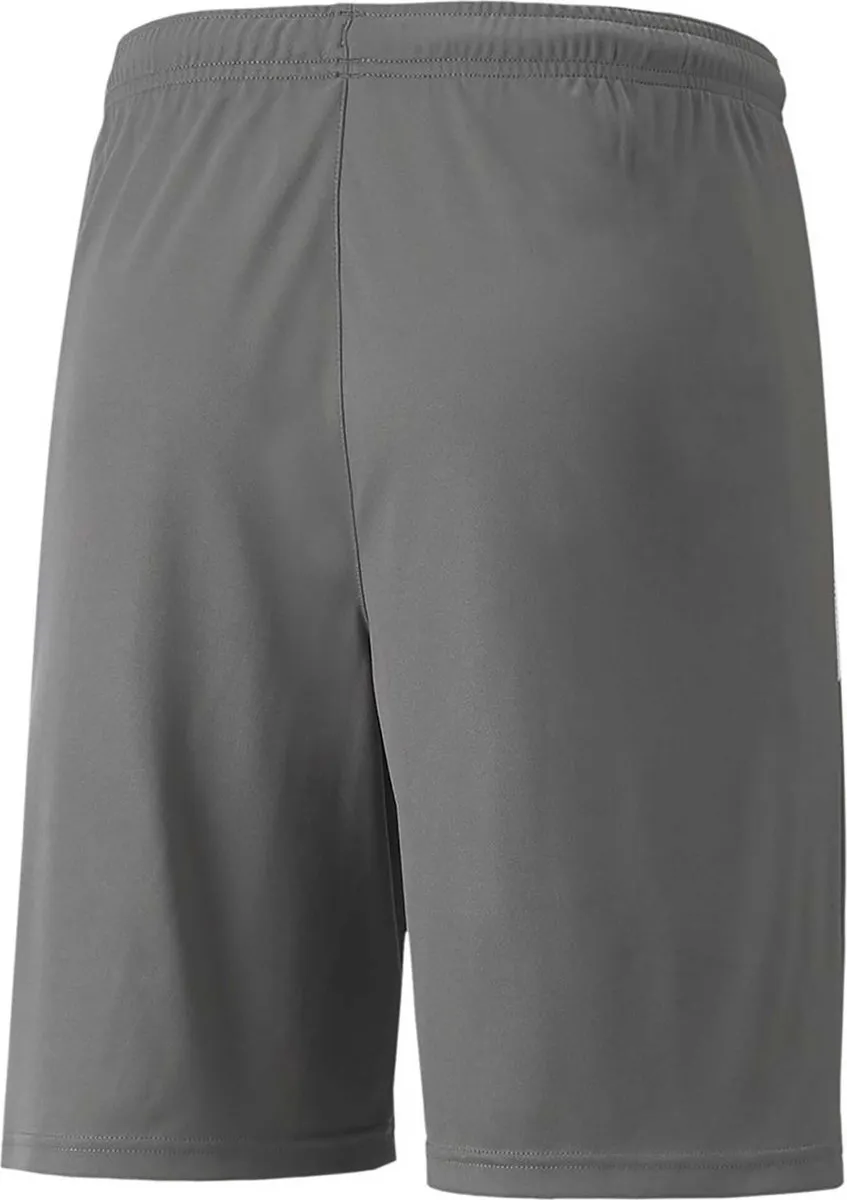 PUMA Teamliga Short Heren - Grijs M
