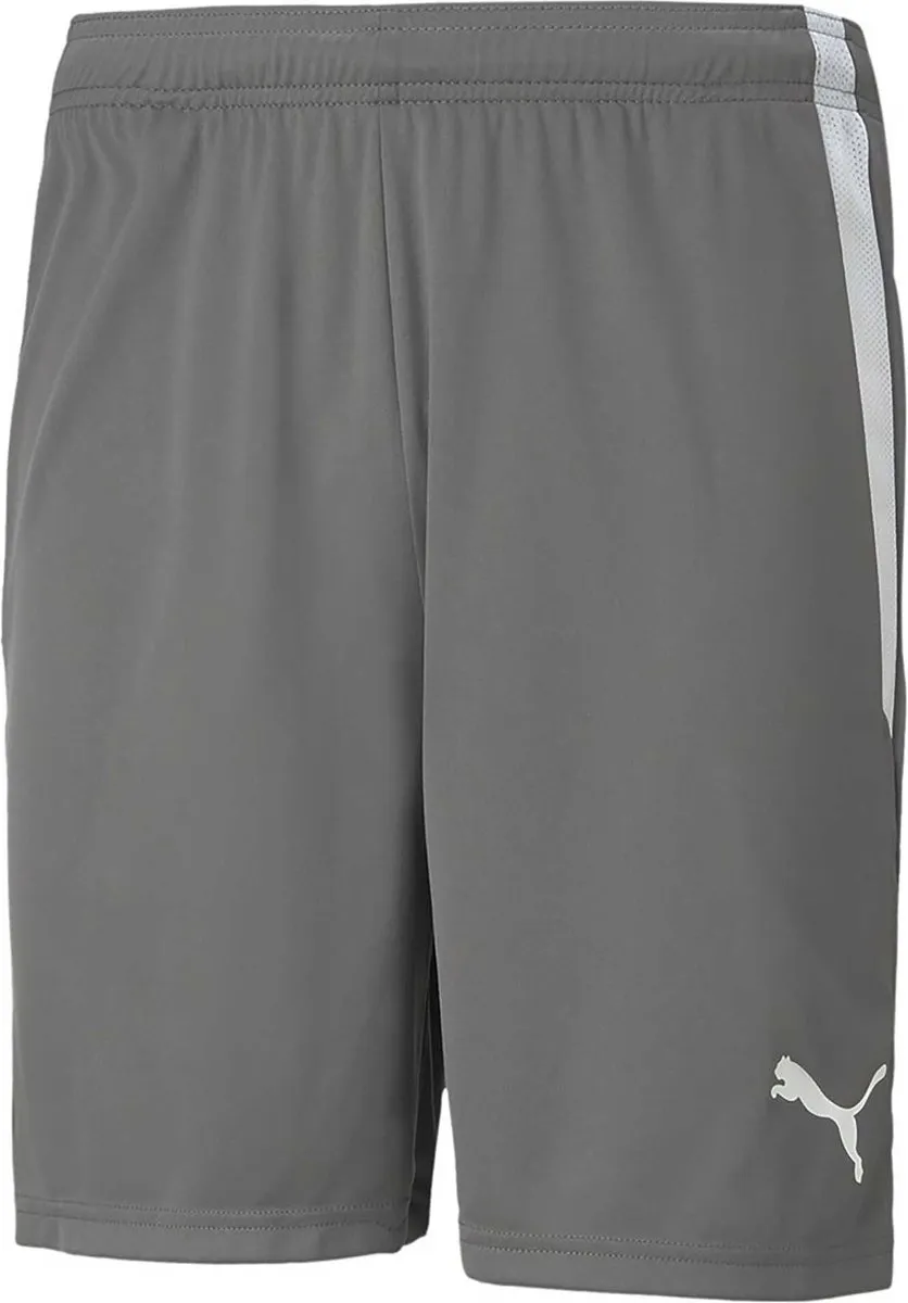 PUMA Teamliga Short Heren