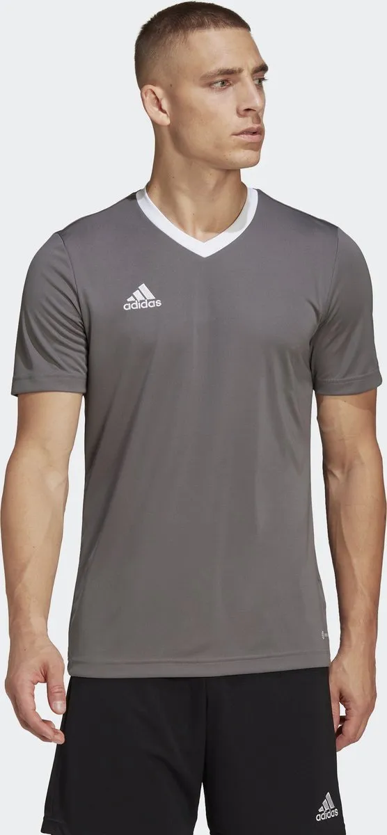 adidas Performance Entrada 22 Voetbalshirt M - Grijs