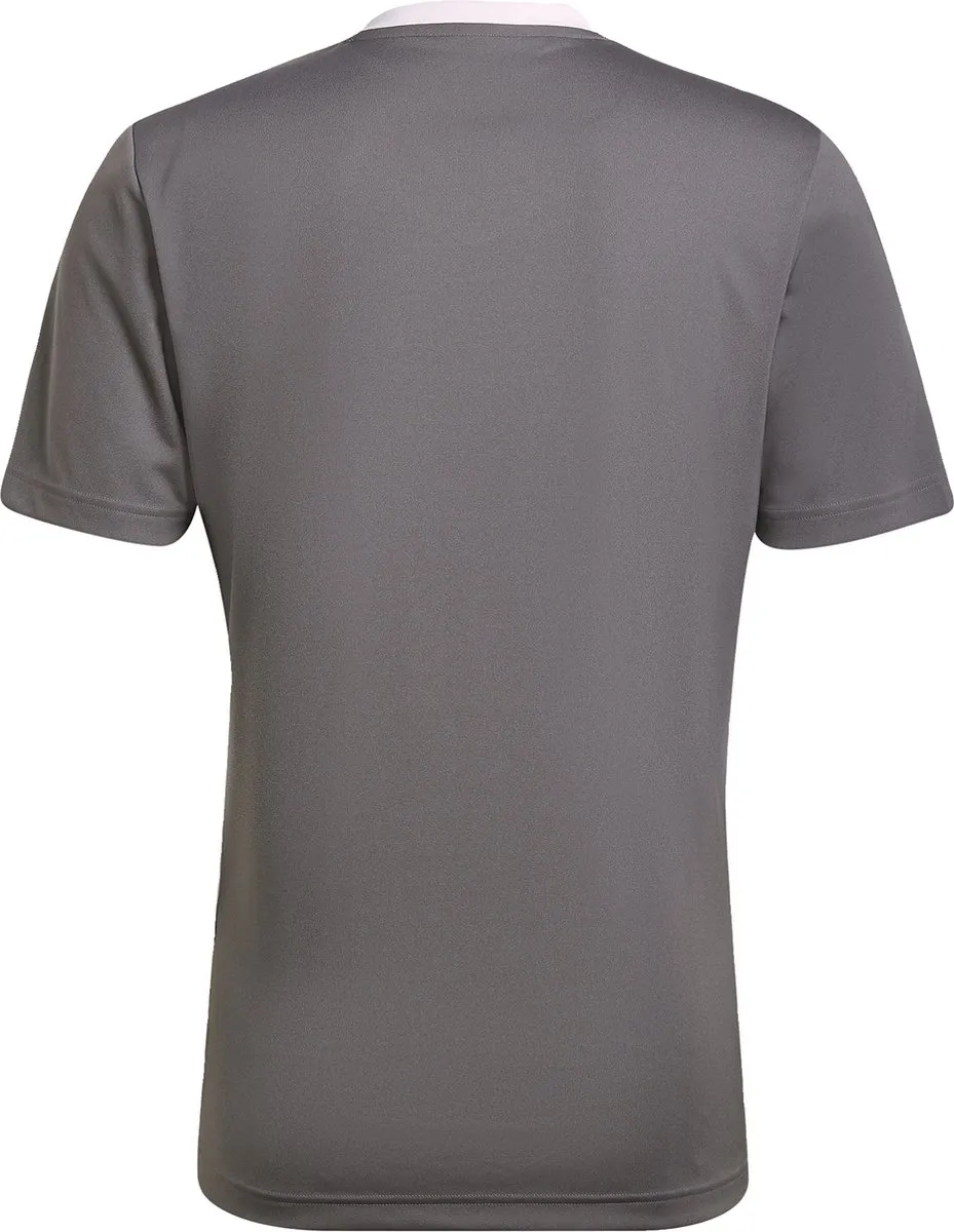 adidas Performance Entrada 22 Voetbalshirt M - Grijs