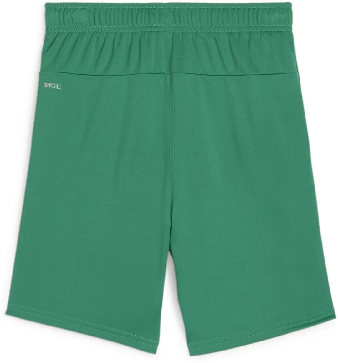 PUMA TeamGoal Shorts Jr 116 - Sport Green/Wit