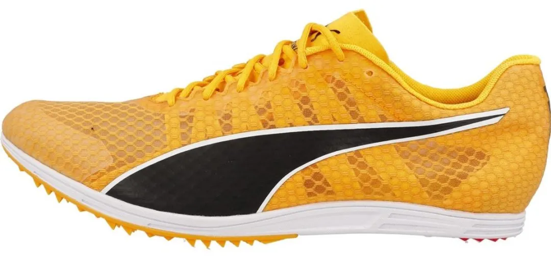 PUMA evoSPEED Distance 11 Low