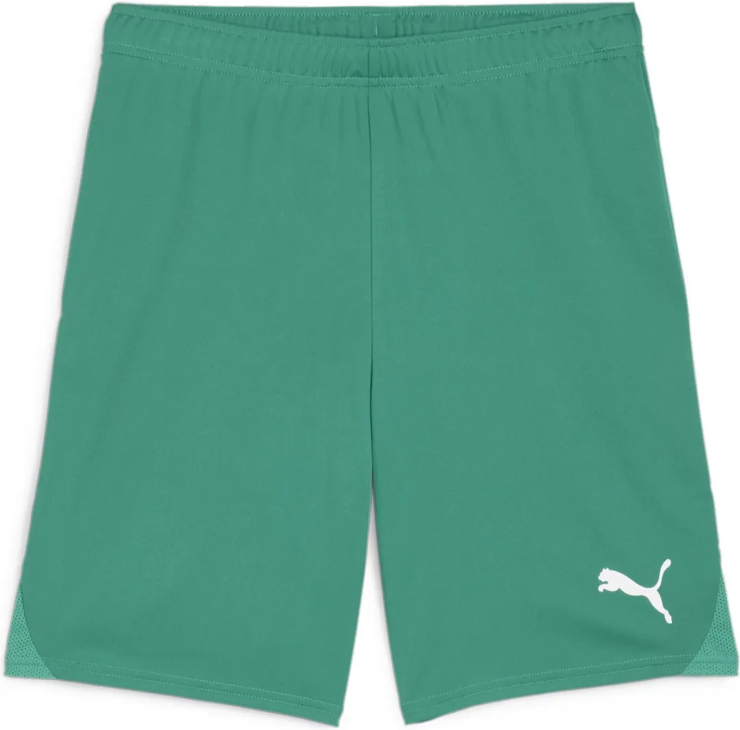PUMA teamGOAL Shorts Heren Trainingsbroek