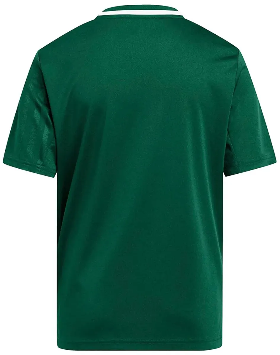 adidas Campeon 25 T-shirt 128 - Groen