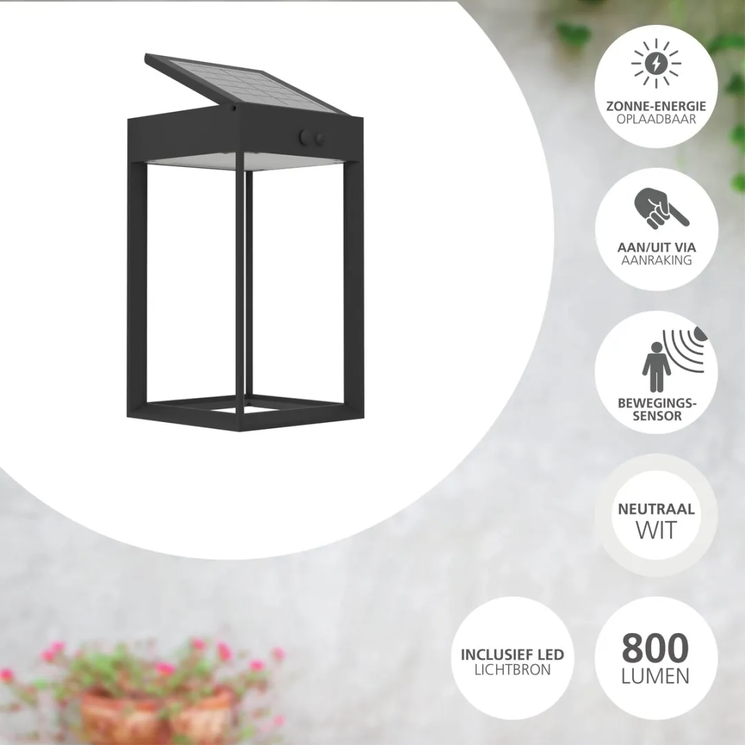 Eglo Suzzara Solar Wandlamp LED 25cm - Zwart