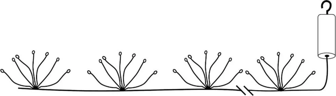 Star Trading Dew Drop Flower Lichtslinger 8 Bloemen 2m10 - Zwart