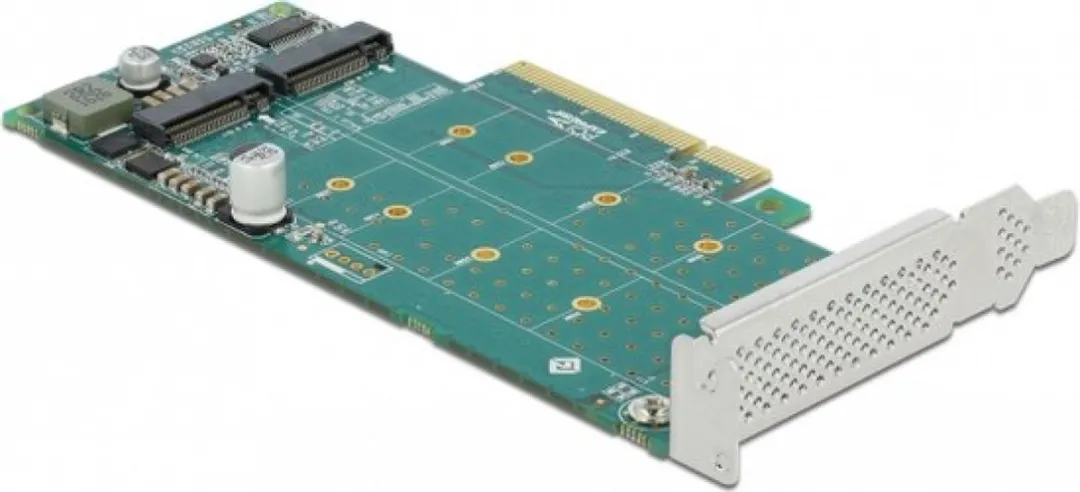 Delock PCIe X8 Kaart 2x M.2 NVMe - Bifurcation - Low Profile
